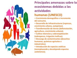 CAUSASPérdida de Biodiversidad• Pérdidas o deterioro dehábitats• Sobreexplotación deespecies de valor comercial• Muerte o capturaindiscriminada de especiesamenazadas• Contaminación de losecosistemas• Cambio climático