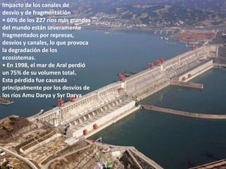 En Europa, sólo 5 de cada 55ríos son consideradosprístinos y únicamente lassecciones superiores de los14 mayores ríos mantienenun 'buen estatus ecológico'.• En Asia, todos los ríos queatraviesan ciudades estángravemente contaminados.