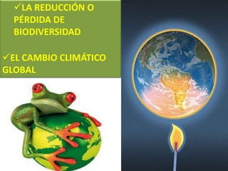 LA REDUCCIÓN O PÉRDIDA DE BIODIVERSIDAD