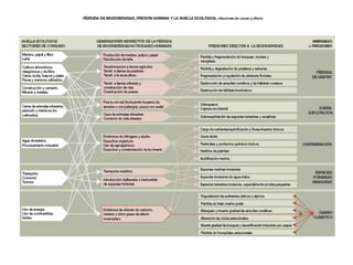 resistir durante algunas generaciones,