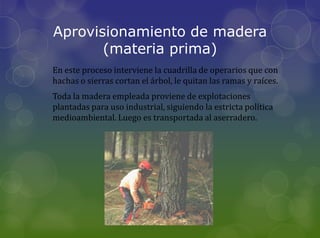 Aprovisionamiento de madera
       (materia prima)
En este proceso interviene la cuadrilla de operarios que con
hachas o sierras cortan el árbol, le quitan las ramas y raíces.
Toda la madera empleada proviene de explotaciones
plantadas para uso industrial, siguiendo la estricta política
medioambiental. Luego es transportada al aserradero.
 
