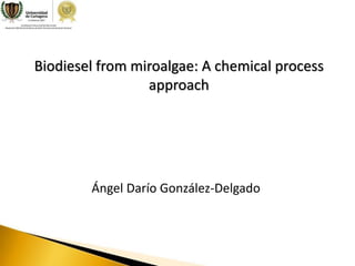 Ángel Darío González-Delgado
Biodiesel from miroalgae: A chemical process
approach
 