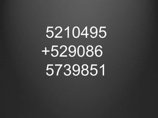  5210495                                           +5290865739851                                                                        