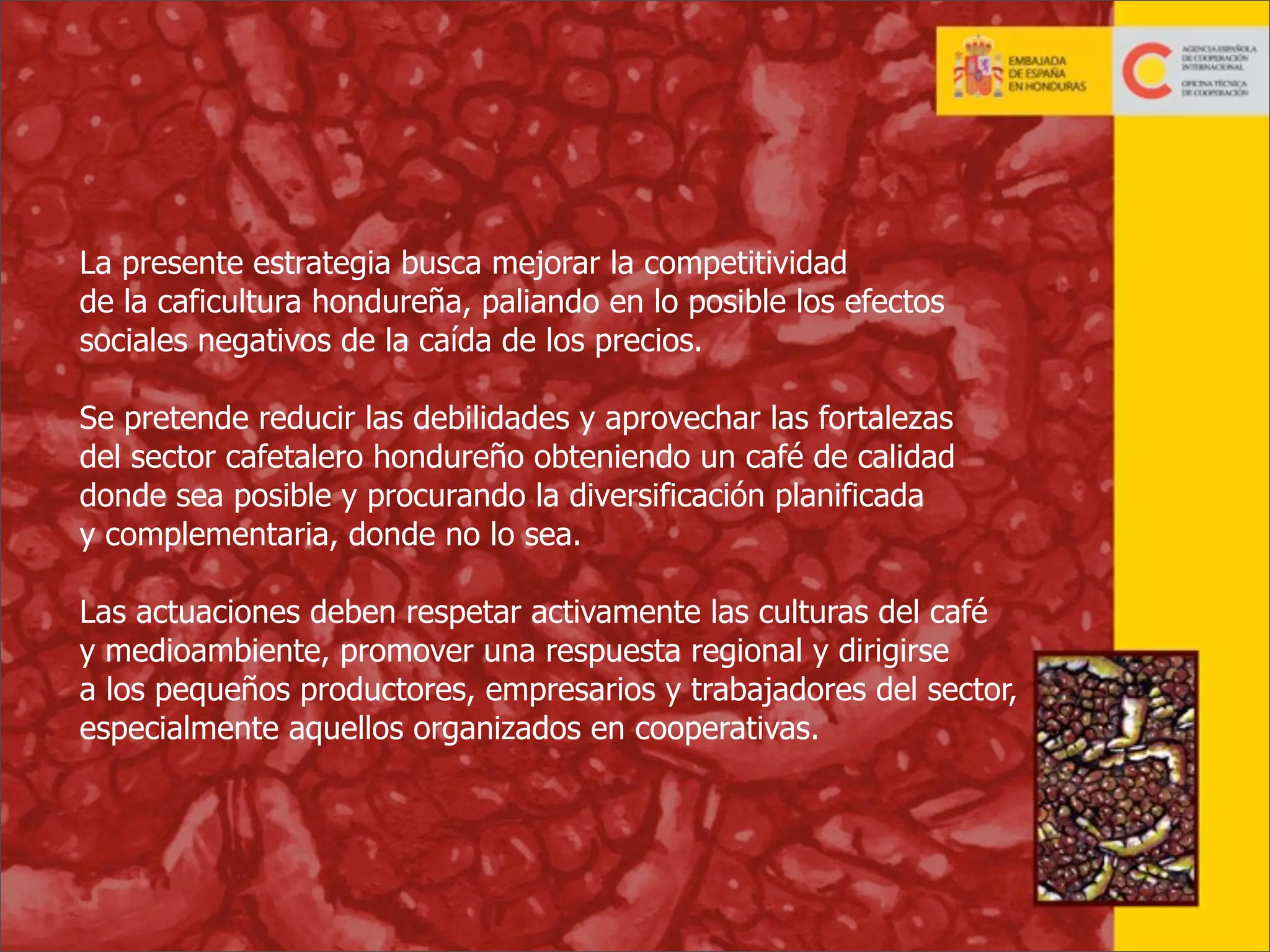 La presente estrategia busca mejorar la competitividad
de la caficultura hondureña, paliando en lo posible los efectos
sociales negativos de la caída de los precios.
Se pretende reducir las debilidades y aprovechar las fortalezas
del sector cafetalero hondureño obteniendo un café de calidad
donde sea posible y procurando la diversificación planificada
y complementaria, donde no lo sea.
Las actuaciones deben respetar activamente las culturas del café
y medioambiente, promover una respuesta regional y dirigirse
a los pequeños productores, empresarios y trabajadores del sector,
especialmente aquellos organizados en cooperativas.

14

 
