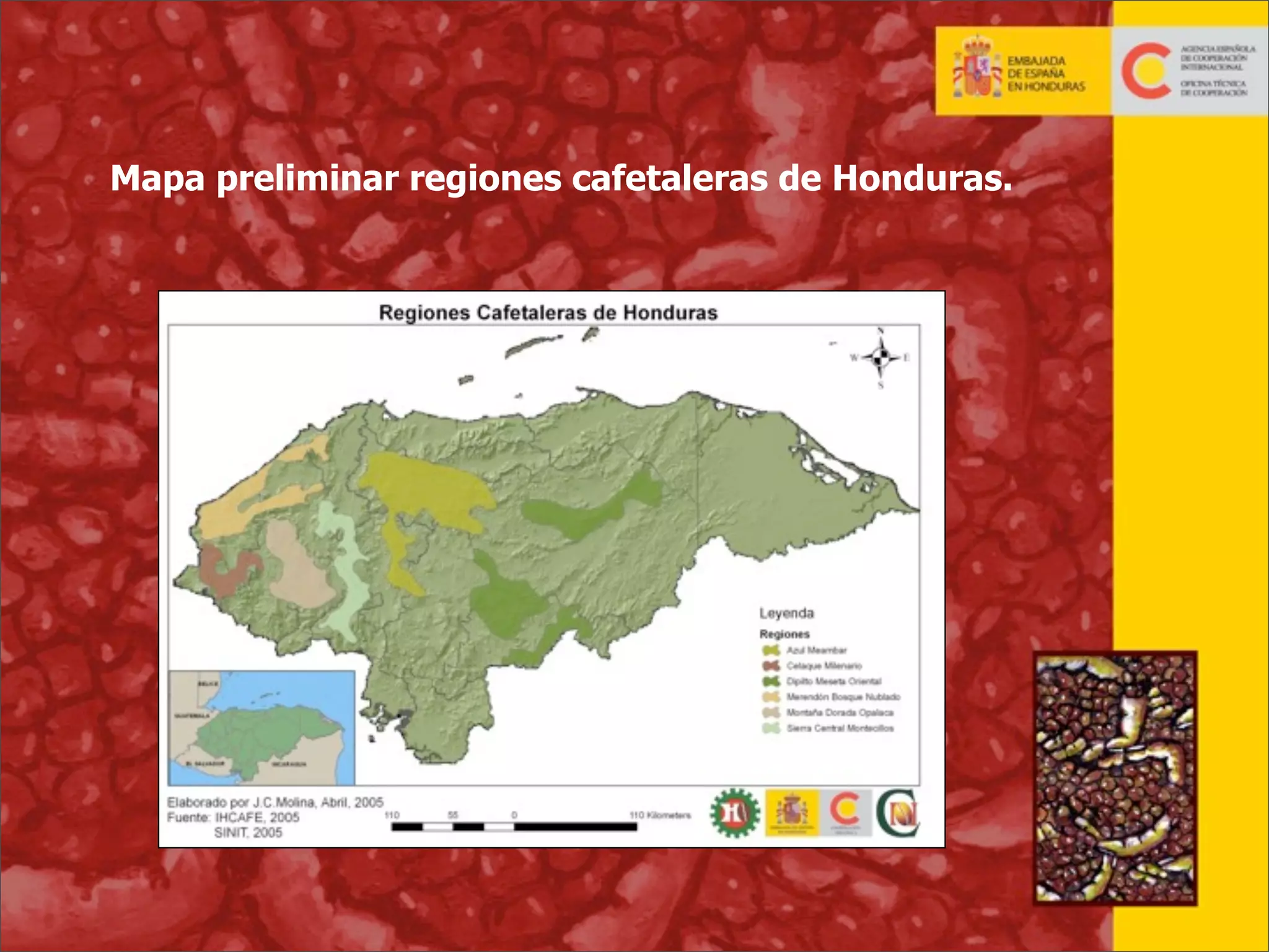 Mapa preliminar regiones cafetaleras de Honduras.

19

 