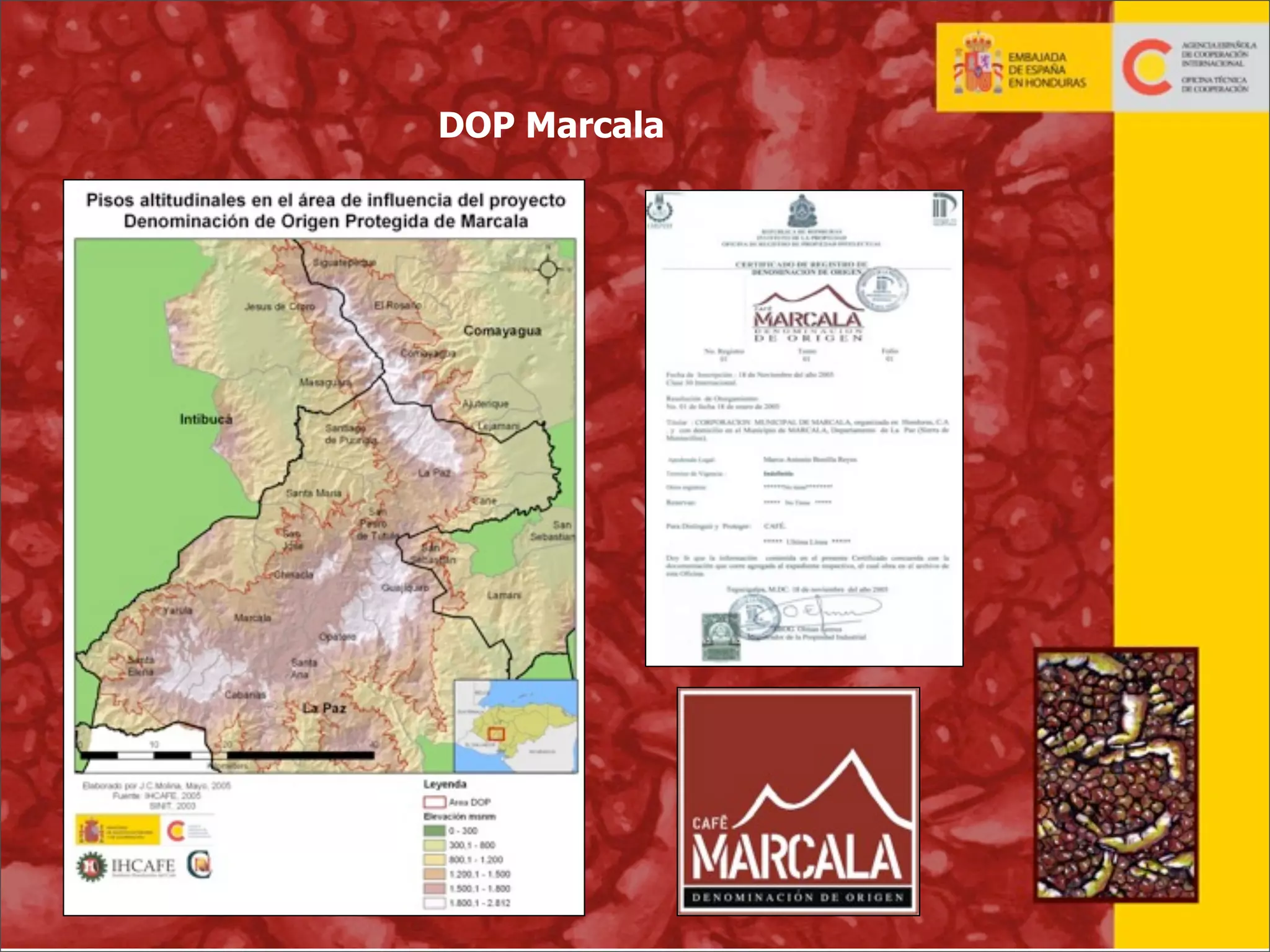 DOP Marcala

22

 