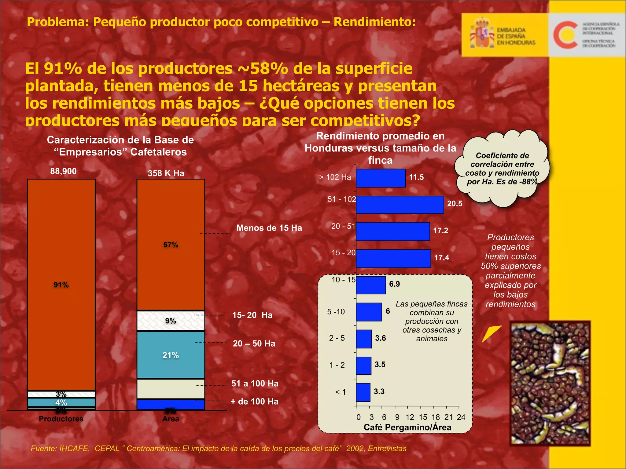 Problema: Pequeño productor poco competitivo – Rendimiento:

El 91% de los productores ~58% de la superficie
plantada, tienen menos de 15 hectáreas y presentan
los rendimientos más bajos – ¿Qué opciones tienen los
productores más pequeños para ser competitivos?
Rendimiento promedio en
Honduras versus tamaño de la
finca

Caracterización de la Base de
“Empresarios” Cafetaleros
88,900

358 K Ha

> 102 Ha

11.5

51 - 102

Menos de 15 Ha
57%

20.5

20 - 51

17.2

15 - 20

17.4

10 - 15

91%

9%

15- 20 Ha

6.9
6

5 -10
2-5

3.6

1-2

20 – 50 Ha

Coeficiente de
correlación entre
costo y rendimiento
por Ha. Es de -88%

3.5

<1

Las pequeñas fincas
combinan su
producción con
otras cosechas y
animales

Productores
pequeños
tienen costos
50% superiores
parcialmente
explicado por
los bajos
rendimientos

3.3

21%

51 a 100 Ha
3%

4%

0%
Productores

+ de 100 Ha
0%
Area

0

3

6

9 12 15 18 21 24

Café Pergamino/Área

Fuente: IHCAFE, CEPAL “ Centroamérica: El impacto de la caída de los precios del café” 2002, Entrevistas
23

 