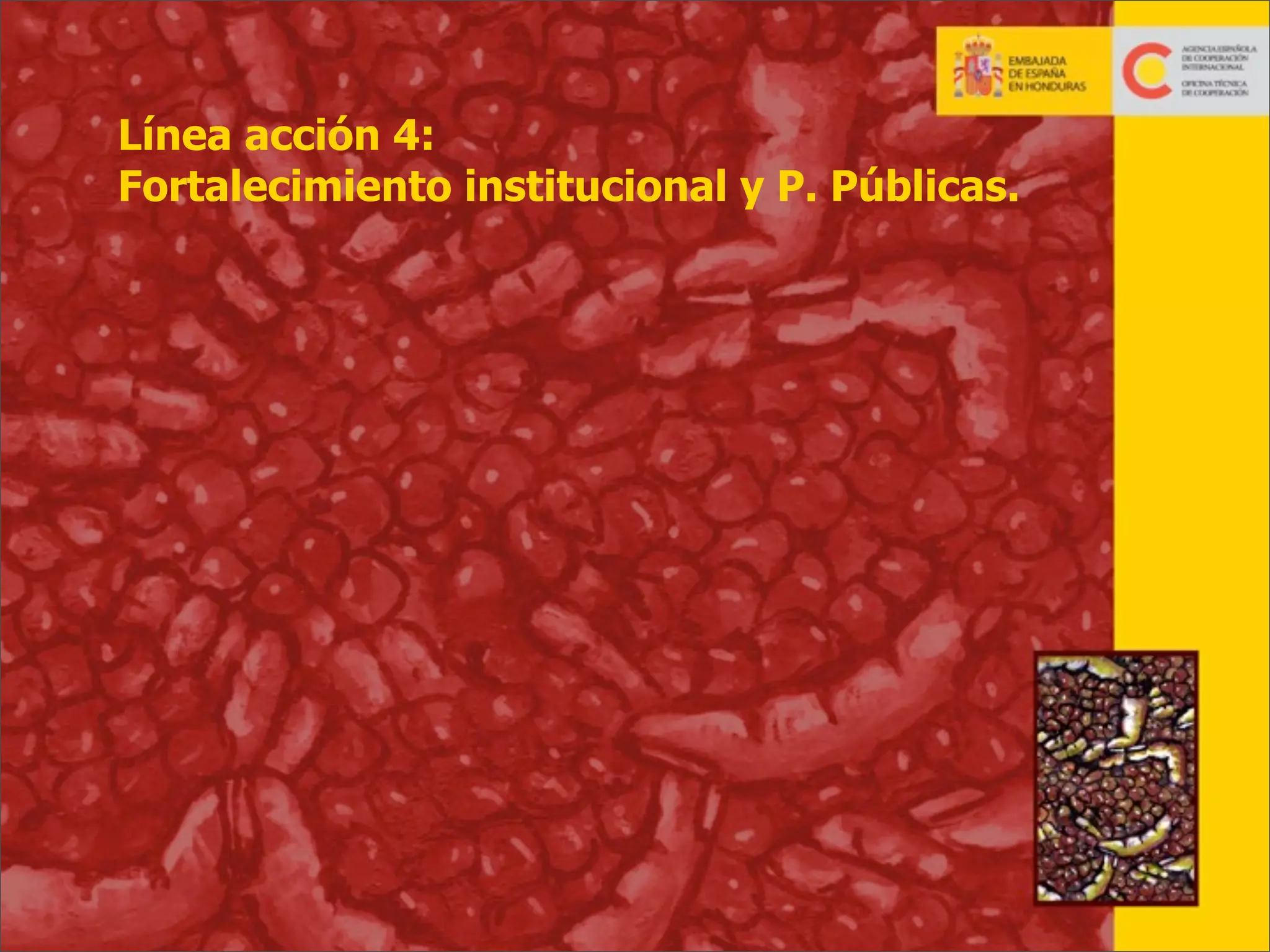 Línea acción 4:
Fortalecimiento institucional y P. Públicas.

29

 