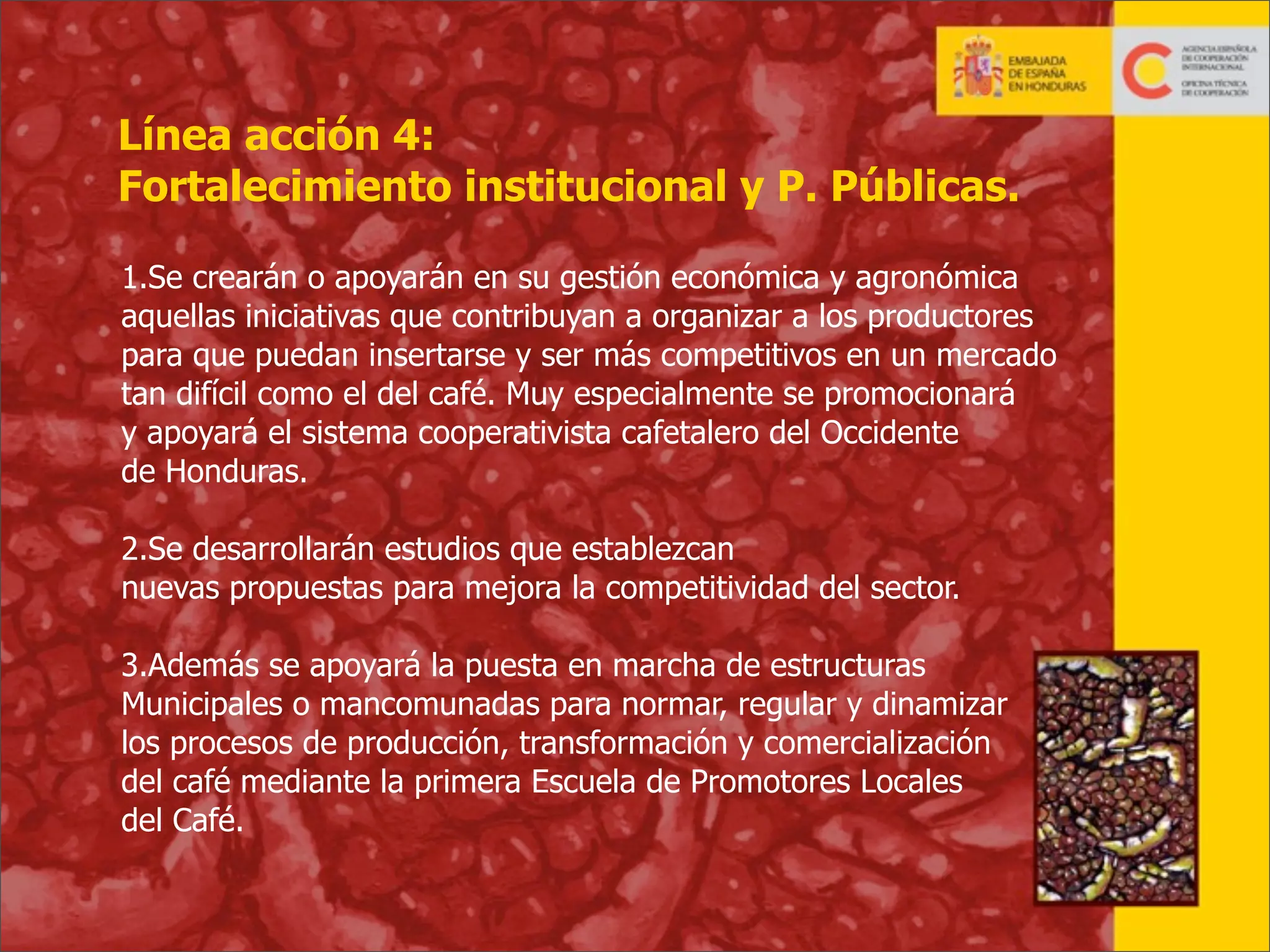 Línea acción 4:
Fortalecimiento institucional y P. Públicas.
1.Se crearán o apoyarán en su gestión económica y agronómica
aquellas iniciativas que contribuyan a organizar a los productores
para que puedan insertarse y ser más competitivos en un mercado
tan difícil como el del café. Muy especialmente se promocionará
y apoyará el sistema cooperativista cafetalero del Occidente
de Honduras.
2.Se desarrollarán estudios que establezcan
nuevas propuestas para mejora la competitividad del sector.
3.Además se apoyará la puesta en marcha de estructuras
Municipales o mancomunadas para normar, regular y dinamizar
los procesos de producción, transformación y comercialización
del café mediante la primera Escuela de Promotores Locales
del Café.

29

 