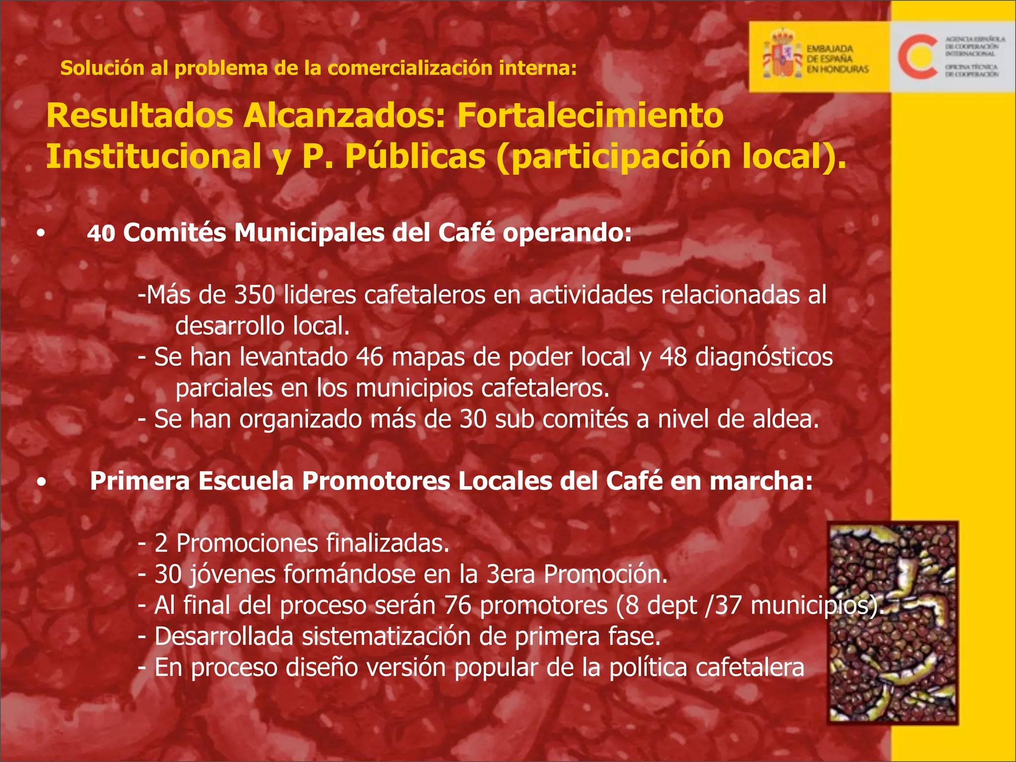 Solución al problema de la comercialización interna:

Resultados Alcanzados: Fortalecimiento
Institucional y P. Públicas (participación local).
•

40 Comités Municipales del Café operando:

-Más de 350 lideres cafetaleros en actividades relacionadas al
desarrollo local.
- Se han levantado 46 mapas de poder local y 48 diagnósticos
parciales en los municipios cafetaleros.
- Se han organizado más de 30 sub comités a nivel de aldea.
•

Primera Escuela Promotores Locales del Café en marcha:
-

2 Promociones finalizadas.
30 jóvenes formándose en la 3era Promoción.
Al final del proceso serán 76 promotores (8 dept /37 municipios).
Desarrollada sistematización de primera fase.
En proceso diseño versión popular de la política cafetalera

30

 