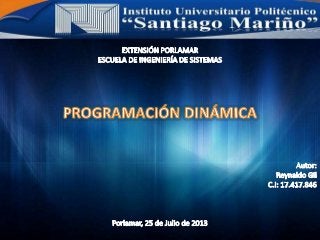 Presentación Programación Dinamica Reynaldo gil