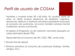 Programa de tratamiento de Alcohol y Drogas COSAM Quinta Normal | PPT