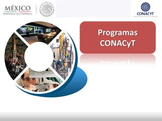 Programas
CONACyT
 