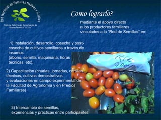 Presentación programa nacional de semillas nativas y criollas 2013 | PPT