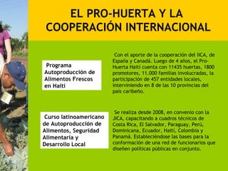EL PRO-HUERTA Y LA
 COOPERACIÓN INTERNACIONAL

                          Con el aporte de la cooperación del IICA, de
                         España y Canadá. Luego de 4 años, el Pro-
 Programa                Huerta Haití cuenta con 11435 huertas, 1800
Autoproducción de        promotores, 11.000 familias involucradas, la
Alimentos Frescos        participación de 457 entidades locales,
en Haití                 interviniendo en 8 de las 10 provincias del
                         país caribeño.



                          Se realiza desde 2008, en convenio con la
 Curso latinoamericano   JICA, capacitando a cuadros técnicos de
de Autoproducción de     Costa Rica, El Salvador, Paraguay, Perú,
Alimentos, Seguridad     Dominicana, Ecuador, Haití, Colombia y
Alimentaria y            Panamá. Estableciéndose las bases para la
Desarrollo Local         conformación de una red de funcionarios que
                         diseñen políticas públicas en conjunto.
 