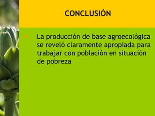 CONCLUSIÓN

La producción de base agroecológica
se reveló claramente apropiada para
trabajar con población en situación
de pobreza
 