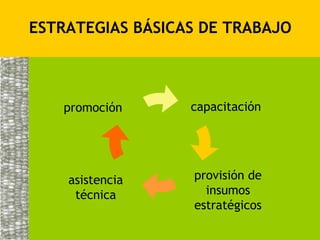 ESTRATEGIAS BÁSICAS DE TRABAJO



   promoción      capacitación




    asistencia    provisión de
     técnica        insumos
                  estratégicos
 