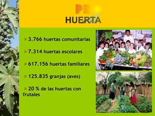  
    3.766 huertas comunitarias

    7.314 huertas escolares

    617.156 huertas familiares

    125.835 granjas (aves)

    20 % de las huertas con
frutales
 