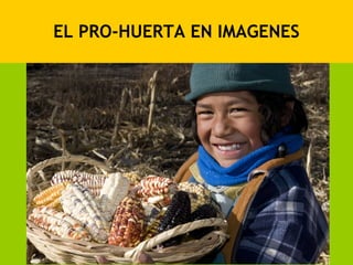 EL PRO-HUERTA EN IMAGENES
 