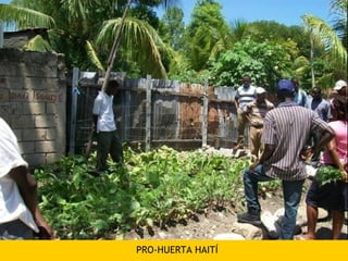PRO-HUERTA HAITÍ
 