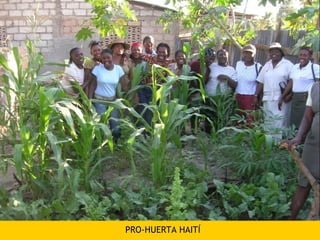 PRO-HUERTA HAITÍ
 