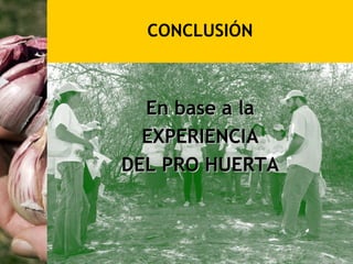 CONCLUSIÓN



  En base a la
  EXPERIENCIA
DEL PRO HUERTA
 