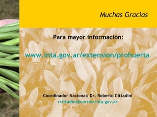 Muchas Gracias


         Para mayor información:

www.inta.gov.ar/extension/prohuerta




     Coordinador Nacional: Dr. Roberto Cittadini
            rcittadini@correo.inta.gov.ar
 