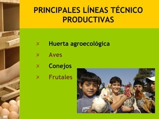 PRINCIPALES LÍNEAS TÉCNICO
       PRODUCTIVAS

   Huerta agroecológica
   Aves
   Conejos
   Frutales
 