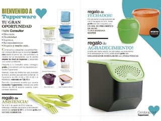 Presentación promotupper agosto 2014