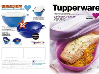 Presentación promotupper agosto 2014