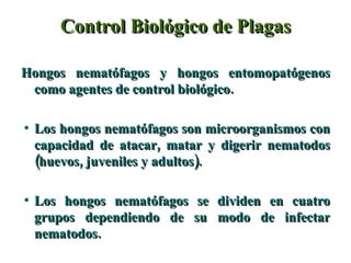 Control Biológico de Plagas Hongos nematófagos y hongos entomopatógenos como agentes de control biológico.  Los hongos nematófagos son microorganismos con capacidad de atacar, matar y digerir nematodos (huevos, juveniles y adultos).  Los hongos nematófagos se dividen en cuatro grupos dependiendo de su modo de infectar nematodos. 