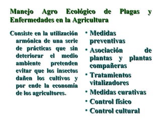 Manejo Agro Ecológico de Plagas y Enfermedades en la Agricultura Consiste en la utilización armónica de una serie de prácticas que sin deteriorar el medio ambiente pretenden evitar que los insectos dañen los cultivos y por ende la economía de los agricultores. Medidas preventivas   Asociación de plantas y plantas compañeras   Tratamientos vitalizadores   Medidas curativas  Control físico  Control cultural   