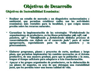 Objetivos de Desarrollo Objetivos de Sostenibilidad Económica: Realizar un estudio de mercado y un diagnóstico socioeconómico y ambiental, que permitan establecer cuáles son las actividades económicas más rentables para la localidad, y que exigen menos presión sobre los recursos naturales. Garantizar la implementación de las estrategias  “Fortaleciendo las organizaciones de productores, en las líneas priorizadas: piña, café, caña panelera, ají”  e  “Identificando y fortaleciendo distintos procesos de comercialización con énfasis en el comercio justo”,  para el sector agropecuario, especialmente para la caña panelera y su procesamiento. Elaborar programas, planes y proyectos de corto, mediano y largo plazo, que permitan implementar los cambios necesarios en el sistema productivo, de una manera gradual, para que la población y la zona, tengan el tiempo suficiente para adaptarse a ésta transformación. Apoyar a los grupos organizados de productores, en la elaboración de sus planes de negocios, en aras de que obtengan una rentabilidad justa, que les permita tener una buena calidad de vida. 