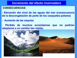 Incremento del efecto invernadero   CONSECUENCIAS:   - Elevación del nivel de las aguas del mar (consecuencia de la descongelación de parte de los casquetes polares) -  Aumento de las sequías  Pérdida de muchos ecosistemas que no podrían adaptarse a un cambio tan rápido.    