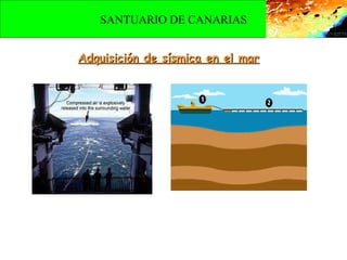 Exploración de hidrocarburos en Canarias Adquisición de sísmica en el mar SANTUARIO DE CANARIAS 