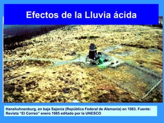 Hanshuhnenburg, en baja Sajonia (República Federal de Alemania) en 1983. Fuente: Revista “El Correo” enero 1985 editado por la UNESCO Efectos de la Lluvia ácida 