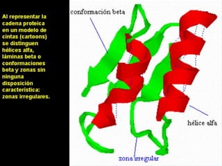 Estructura de las proteinas