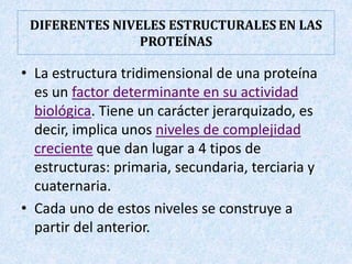 ESTRUCTURA PRIMARIA DE LAS PROTEÍNAS
La ESTRUCTURA PRIMARIA está representada
por la secuencia lineal de aminoácidos que f...