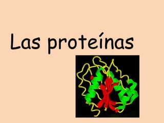 Las proteínas 