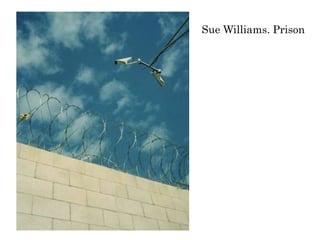 Sue Williams. Prison
 