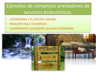 Ejemplos de complejos prestadores de 
servicios ecoturísticos. 
• LACANDONIA Y EL ESCUDO JAGUAR. 
• PARADOR VALLE ESCONDIDO. 
• CAMPAMENTO LACANDÓN LACANJÁ CHANSAYAB. 
 