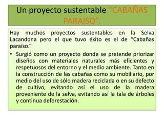 Un proyecto sustentable “CABAÑAS 
PARAISO”. 
Hay muchos proyectos sustentables en la Selva 
Lacandona pero el que tuvo éxito es el de “Cabañas 
paraíso.” 
• Surgió como un proyecto donde se pretende priorizar 
diseños con materiales naturales más eficientes y 
respetuosos del entorno y el medio ambiente. Tanto en 
la construcción de las cabañas como su mobiliario, por 
medio del uso de sólo madera reciclada o en su defecto 
de cultivo, evitando así el uso de la madera 
proveniente de la selva, evitando así la tala de árboles 
y continua deforestación. 
 