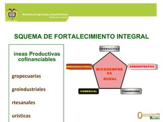 Líneas Productivas cofinanciables Agropecuarias Agroindustriales Artesanales Turísticas  Ambientales ESQUEMA DE FORTALECIMIENTO INTEGRAL COMERCIAL FINANCIERA ADMINISTRATIVA ORGANIZACIONAL PRODUCTIVA MICROEMPRESA RURAL 