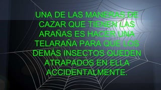 UNA DE LAS MANERAS DE
CAZAR QUE TIENEN LAS
ARAÑAS ES HACER UNA
TELARAÑA PARA QUE LOS
DEMÁS INSECTOS QUEDEN
ATRAPADOS EN ELLA
ACCIDENTALMENTE.
 