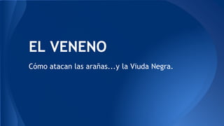 EL VENENO
Cómo atacan las arañas...y la Viuda Negra.
 