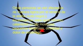 Otras personas se ven afectadas
de manera ligera por el veneno de
la araña viuda negra y
experimentan dolor local mínimo,
calambres en los músculos,
pequeños temblores, debilidad y
dolor de estómago.
 