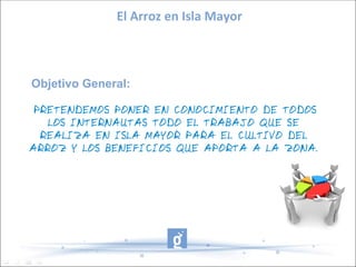 El Arroz en Isla Mayor



Objetivo General:

 PRETENDEMOS PONER EN CONOCIMIENTO DE TODOS
   LOS INTERNAUTAS TODO EL TRABAJO QUE SE
  REALIZA EN ISLA MAYOR PARA EL CULTIVO DEL
ARROZ Y LOS BENEFICIOS QUE APORTA A LA ZONA.
 