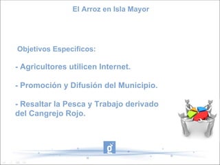 El Arroz en Isla Mayor




Objetivos Específicos:

- Agricultores utilicen Internet.

- Promoción y Difusión del Municipio.

- Resaltar la Pesca y Trabajo derivado
del Cangrejo Rojo.
 