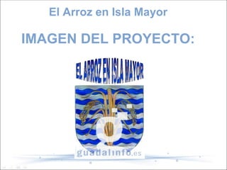 El Arroz en Isla Mayor

IMAGEN DEL PROYECTO:
 