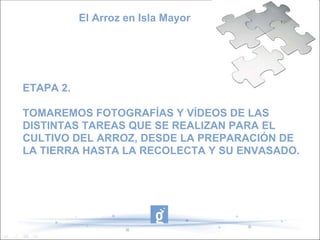 El Arroz en Isla Mayor




ETAPA 2.

TOMAREMOS FOTOGRAFÍAS Y VÍDEOS DE LAS
DISTINTAS TAREAS QUE SE REALIZAN PARA EL
CULTIVO DEL ARROZ, DESDE LA PREPARACIÓN DE
LA TIERRA HASTA LA RECOLECTA Y SU ENVASADO.
 